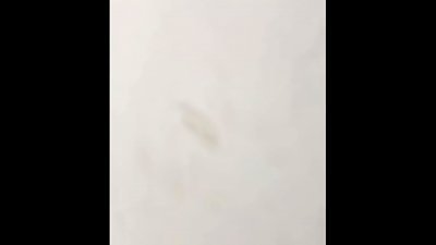 I had fine romp with him.