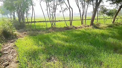 Road hookup couple MMS hardcore